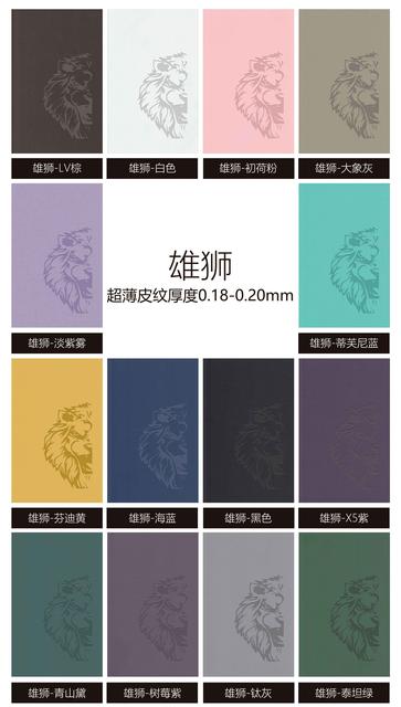 雄狮.jpg